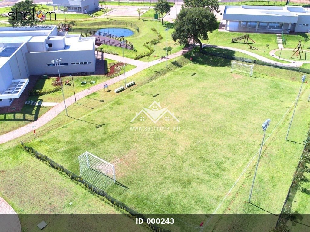 Imagem 11